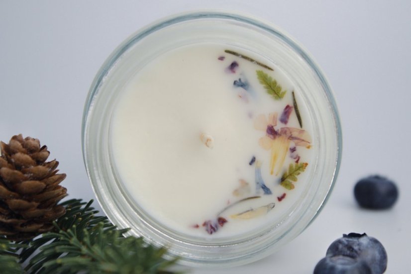 Lesní plody - kolekce Valašsko & Hostýnské vrchy