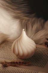 točenec baňatý 2 točenec baňatý 2