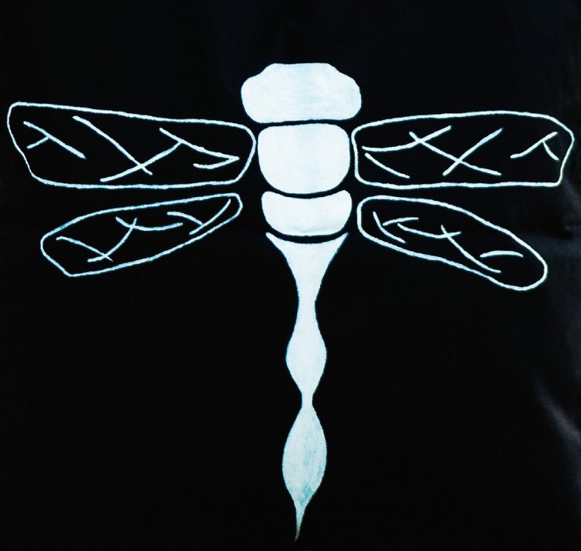 Ručně malovaná taška VÁŽKA