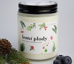 Lesní plody - kolekce Valašsko & Hostýnské vrchy