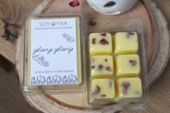 Vosk do aromalampy - ylang ylang