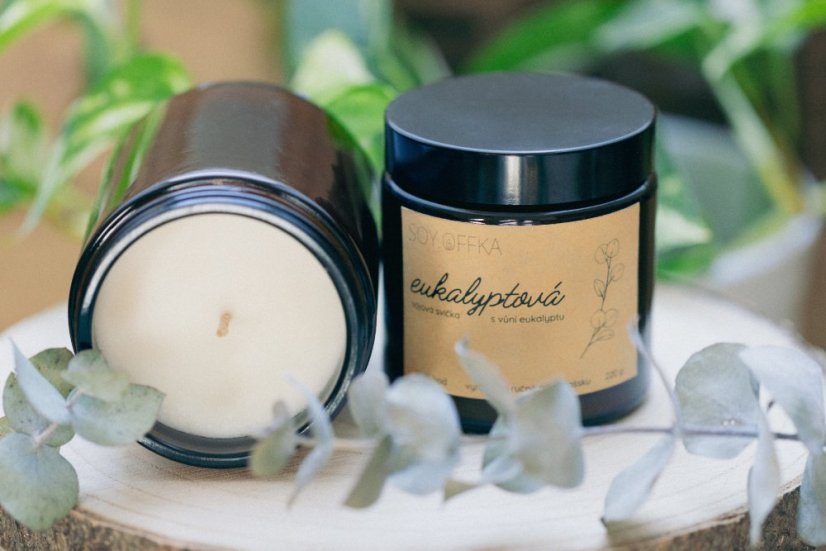 Eukalyptová - sójová svíčka v hnědém skle (120 ml)