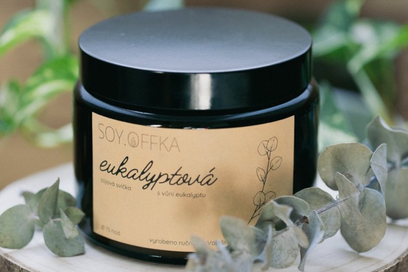 Eukalyptová - sójová svíčka v hnědém skle (490 ml)