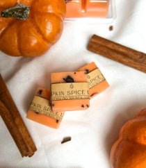 Vosk do aromalampy - pumpkin spice latte