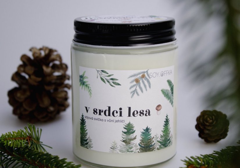 V srdci lesa - kolekce Valašsko & Hostýnské vrchy