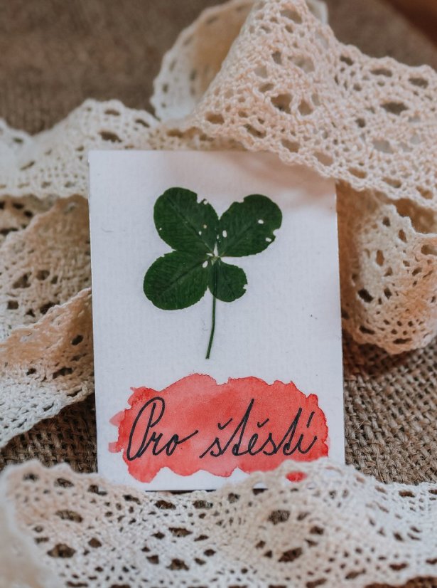 Vylisovaný čtyřlístek pro štěstí - Barva: modrá