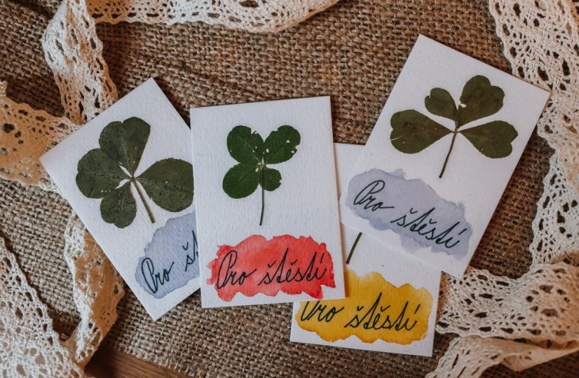 Vylisovaný čtyřlístek pro štěstí